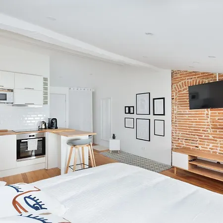 Apartment Le Cosy & Office Au Coeur De Toulouse