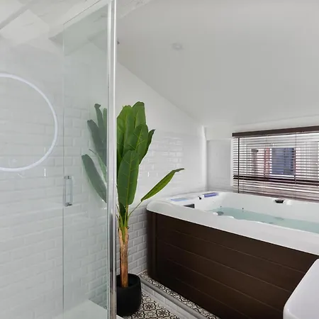 Apartment Le Cosy & Office Au Coeur De Toulouse